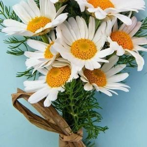 Meet your Posher, Nurten